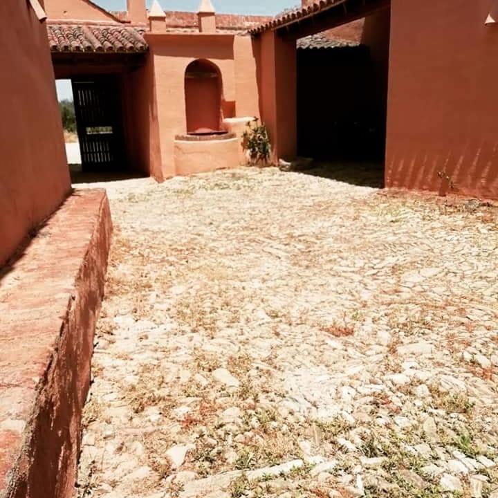 Albergue Turistico La Almazara Villafranca de los Barros Bagian luar foto
