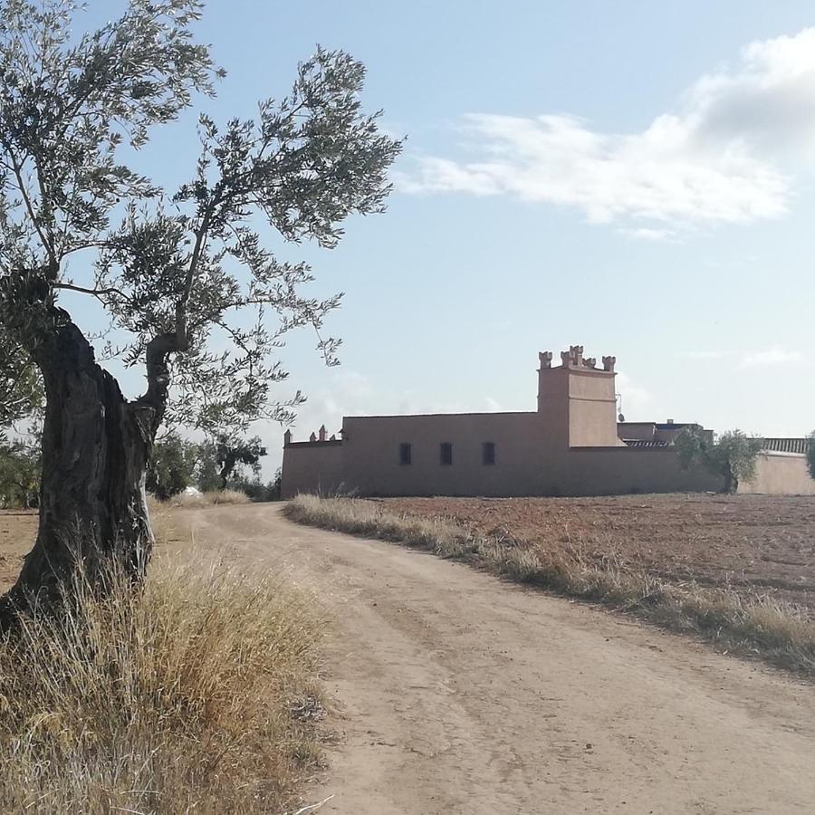 Albergue Turistico La Almazara Villafranca de los Barros Bagian luar foto